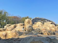 -武汉动物园