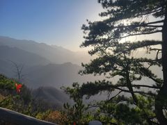 -西安祥峪森林公园