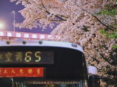 -上海南浦大桥长途旅游客运站
