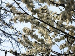 -龙湖星悦荟(颐和店)