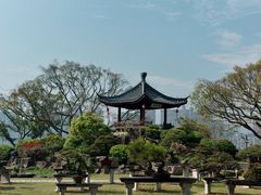 -江心屿景区