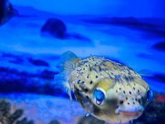 -常州海昌海洋探索馆