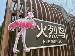 -太原动物园