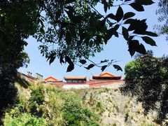-金鸡山公园