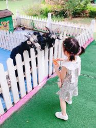 -萌宠亲子动物乐园(槐房万达店)