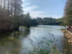 -深圳仙湖植物园