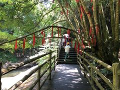 -梁野山景区