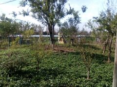 -长兴岛郊野公园农场食堂