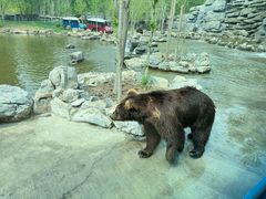 -北京野生动物园