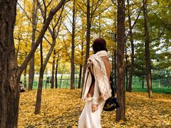 -森林公园(尖草坪区)