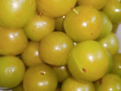 -呼吸森林·生态农庄农家乐私房菜