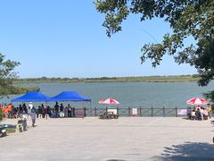 -盐城丹顶鹤湿地生态旅游区