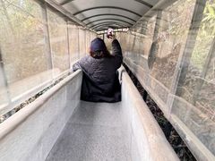 -龙湾潭国家森林公园