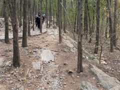 -云龙山