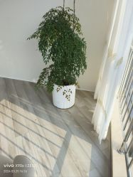 -HEYAN荷妍专业脱毛连锁机构
