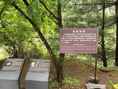 -苍山感通索道