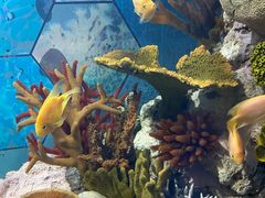 -福州罗源湾海洋世界旅游区