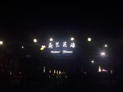 -荷兰花海