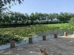 -绿堤公园
