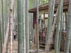 -宝岩生态观光园