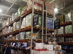 -山姆会员商店(亦庄创意生活广场店)