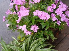 -热火朝天鲜切牛肉火锅(南强街巷店)