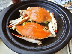 -海市焗·现焗海鲜·老广风味(上海首店)