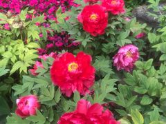 -狼山风景名胜区