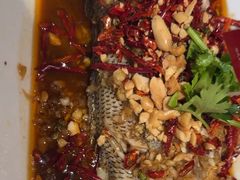 -杨氏青龙虾·羊蝎子(金盛路总店)