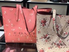 -Coach(朗豪坊店)