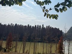 -星湖旅游景区七星岩