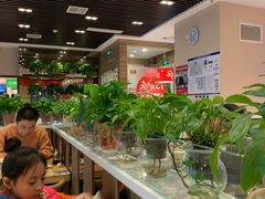 大堂-嘉和一品粥(魏公村店)