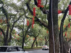 -乌山风景区