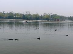 -孔乙己(后海店)