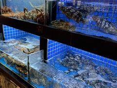 -徐记海鲜(汉城湖|太奥店)