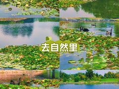 -上海辰山植物园