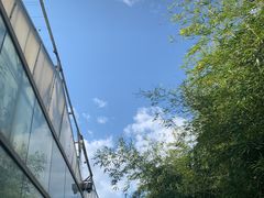 -呀路古热带植物园