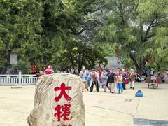 -大槐树寻根祭祖园