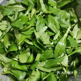 [调皮]春日限定美味食单‖凉拌马兰头香干