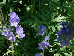 -白草畔自然风景区