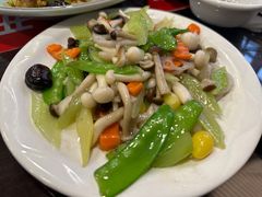 半烧全素-七菜馆·东北菜·蒸饺(文体路店)