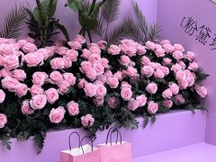 -鲜芒多·杨枝甘露(摩尔城A座10楼店)