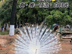 -昆明动物园