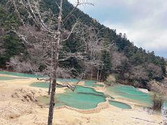 -黄龙山原始森林景区