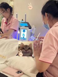 点击看大图 -阅年轻·AI家庭健康体质调理