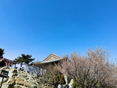 -香山公园