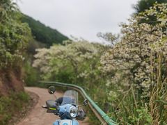 -舒家湾天主教堂
