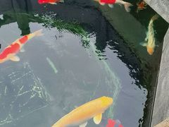 -西安市广仁寺