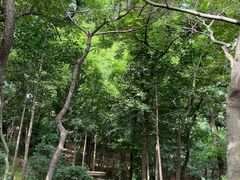-观象山公园