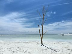 -察尔汗盐湖